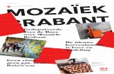 Mozaiek Brabant paper first edition: Eindhoven
