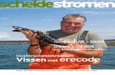 04 2011 magazine Scheldestromen