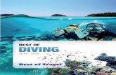 Aussie Tours Best of Diving 2015-2016