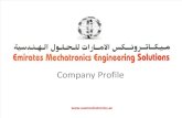 EMES Company Profile