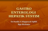Gastro Enterologi
