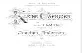 Andersen 26 Kleine Capricen Op.37