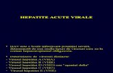 190499360 15 16 Hepatite Acute Virale
