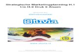 Stuvia 13389 Samenvatting Strategische Marketingplanning h.1 Tm h.9 Alsum Druk 6 Stuvia
