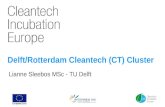 Delft/Rotterdam Cleantech (CT) Cluster Lianne Sleebos MSc - TU Delft.