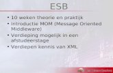 ESB 10 weken theorie en praktijk Introductie MOM (Message Oriented Middleware) Verdieping mogelijk in een afstudeerstage Verdiepen kennis van XML.