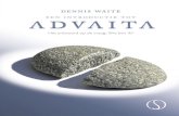 Dennis Waite - Een Introductie Tot Advaita