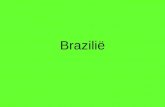 Brazilië. Waar ligt Brazilië? Hoe noemen de inwoners van Brazilië?
