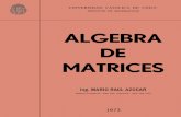 Algebra de Matrices - Mario Raul Azocar-aldana.pdf