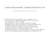 GASTROENTEROLOGIE SINDROAME PANCREATICE