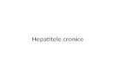 GASTROENTEROLOGIE HEPATITE