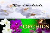 KT Orchids