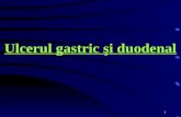 Ulcerul Gastric Si Duodenal.ppt