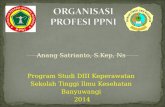Organisasi Profesi PPNI