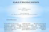 Gastroschisis Sled