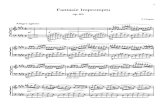 Chopin - Fantasie Impromptu Op.66.pdf