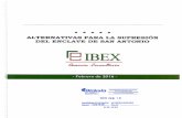 Informe EIBEX-v2