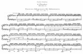 Saint-Sains - 6 Etudes Op. 111 Piano