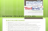 Company Profil Telins