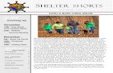 Shelter Shorts November 2014 Brians
