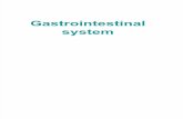 1.Gastrointestinal System