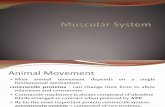 Muscular System ni maam karra baro