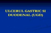 Ulcerul Gastro-dd b