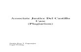 Justice Del Castillo