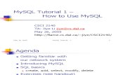 Mysql Tutorial 1