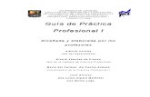 Guia Practica Profesional 1