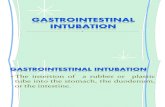 Gastrointestinal ion