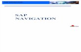 Dmpi Sap Navigation