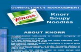 KNOOR Soupy Noodles
