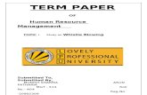 Term Paper on HRM