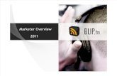 Blip Fm Overview 2011