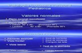 6967875 Patologia Columna Vertebral 1