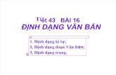 Tiet 43 - Bai 16 Dinh Dang Van Ban