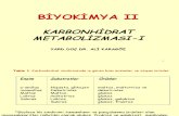 2008 2009+Biyokimya+II+Karbonhidrat+Met+1
