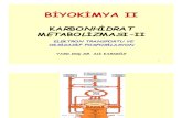 2008 2009+Biyokimya+II+Karbonhidrat+Met+2