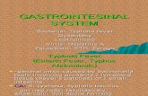 Gastrointesinal System