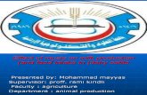 Mohammad Seminar