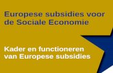 1. Europese subsidies voor sociale economie ondernemingen