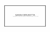 Sarah Bruketta 2015 Professional Portfolio