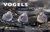 Vogels in wetland Holland Preview