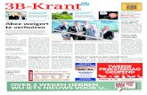 3B Krant week21