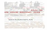 Bral in en voor Brussel 2018 - meerjarenplan