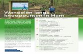 Wandelnetwerk gemeente Ham