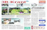 3B Krant week29