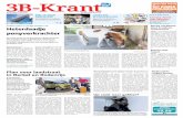 3B Krant week30