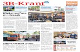 3B Krant week33